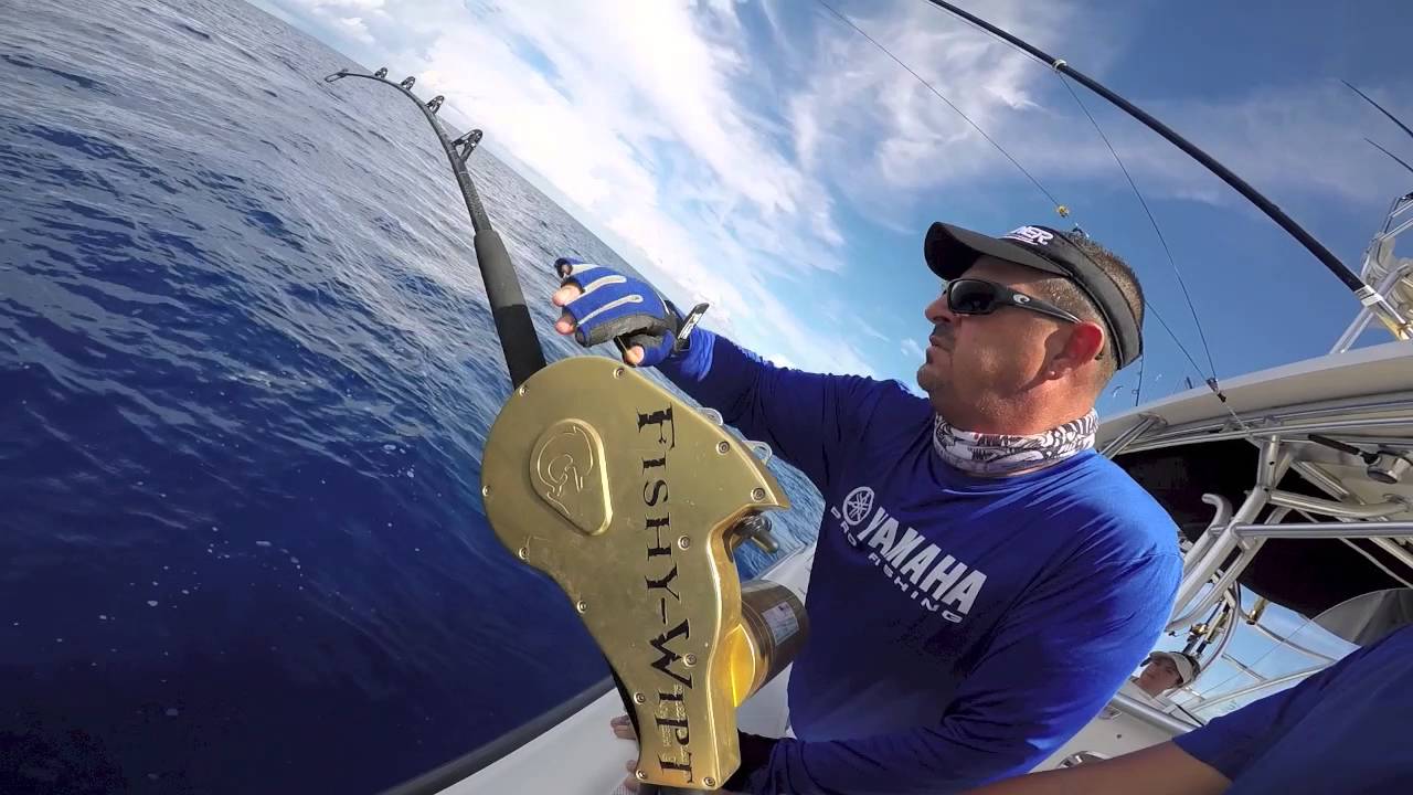 Daytime Swordfishing Fishy Wipt