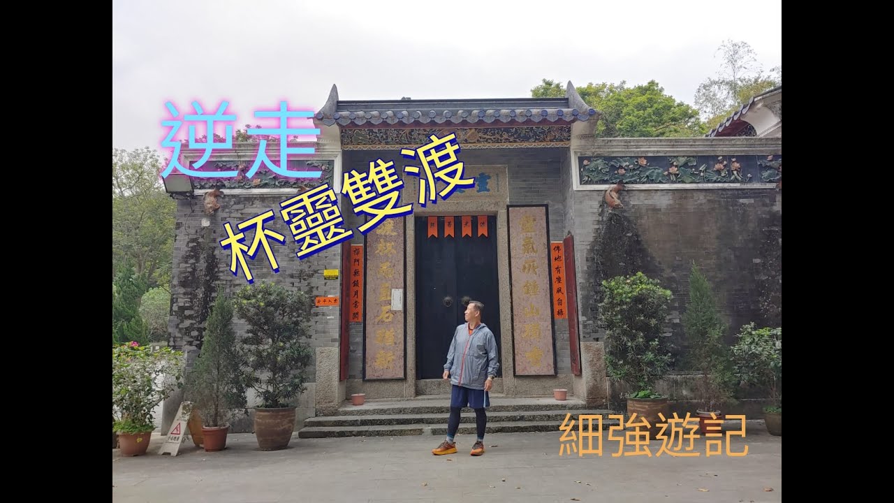 細強遊記:逆走.杯靈雙渡