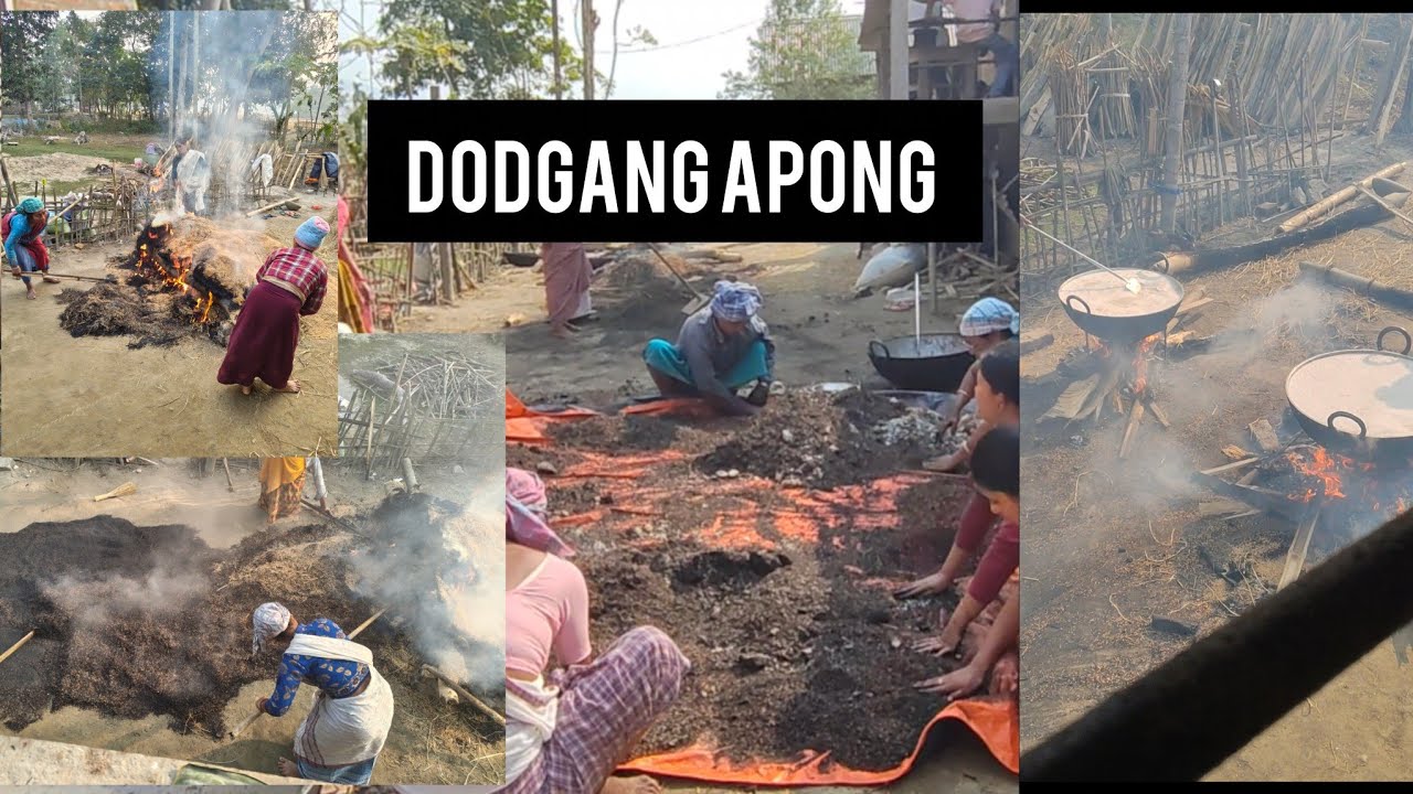 #vlog 6 Dodgang apong//Dodgang preparation #jintimoni takoe vlogs #viralvideo #misingtribe #like