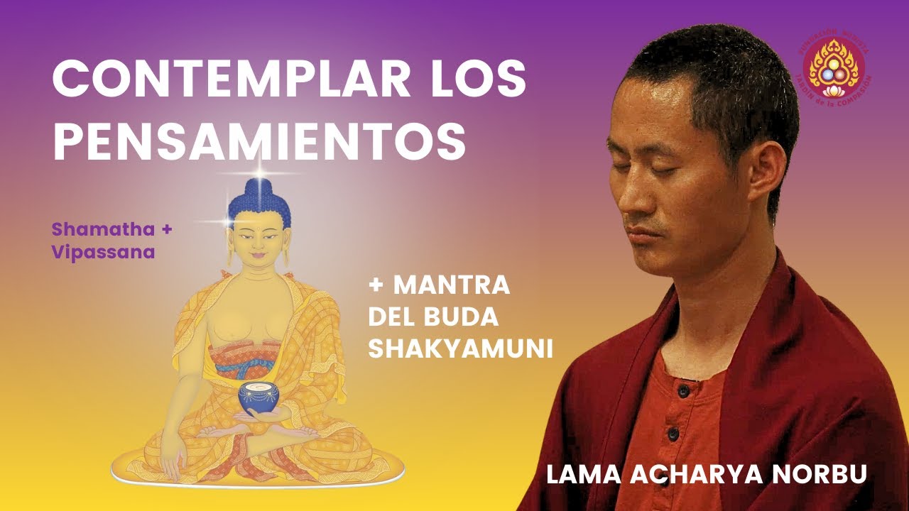 Sesión Meditación: Calma mental, Visión clara y mantras al Buda Shakyamuni