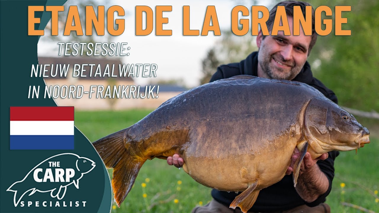 🇫🇷 Nieuw betaalwater in Noord-Frankrijk 🇫🇷 GROTE KARPERS tijdens onze testsessie 🎉🥳💃🏾🕺🏽