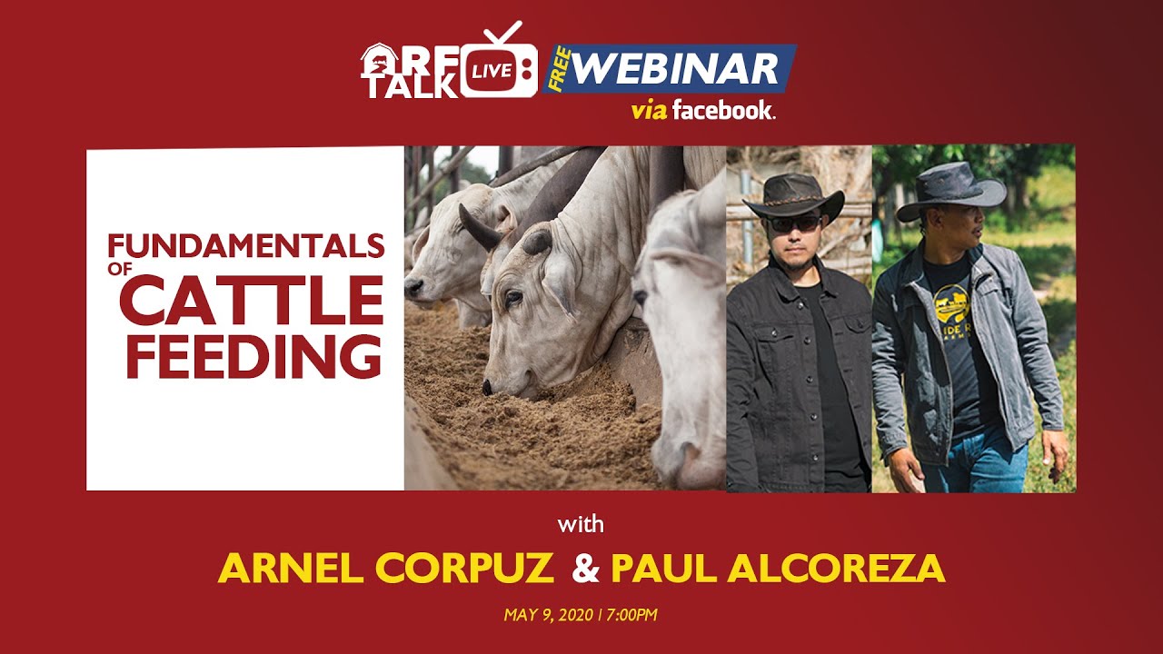 FUNDAMENTALS OF CATTLE FEEDING WEBINAR