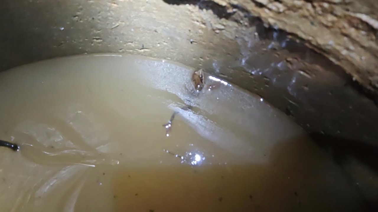 Мутная вода и лягушки в колодце? Спасаем ситуацию! 
