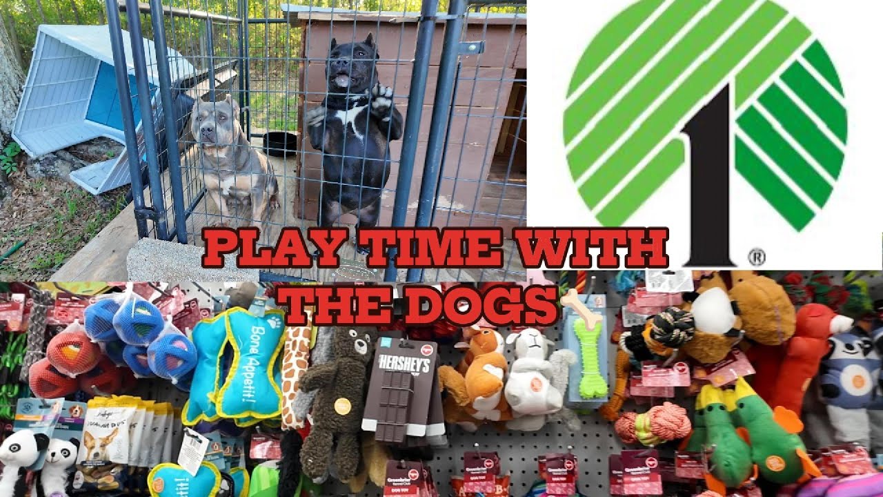 I OVERSPENT AT DOLLAR TREE ON DOG TOYS😱💵🌳