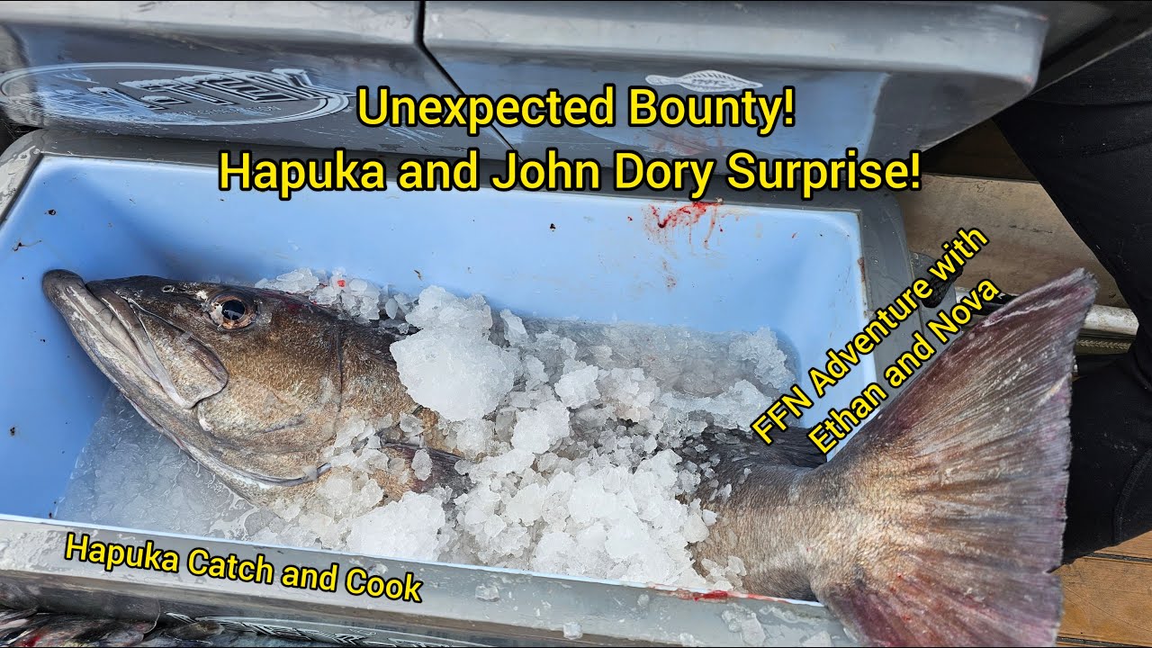 Unexpected Bounty! Kingfish and John Dory Surprise [ FFN Adventure with Ethan and Nova ]