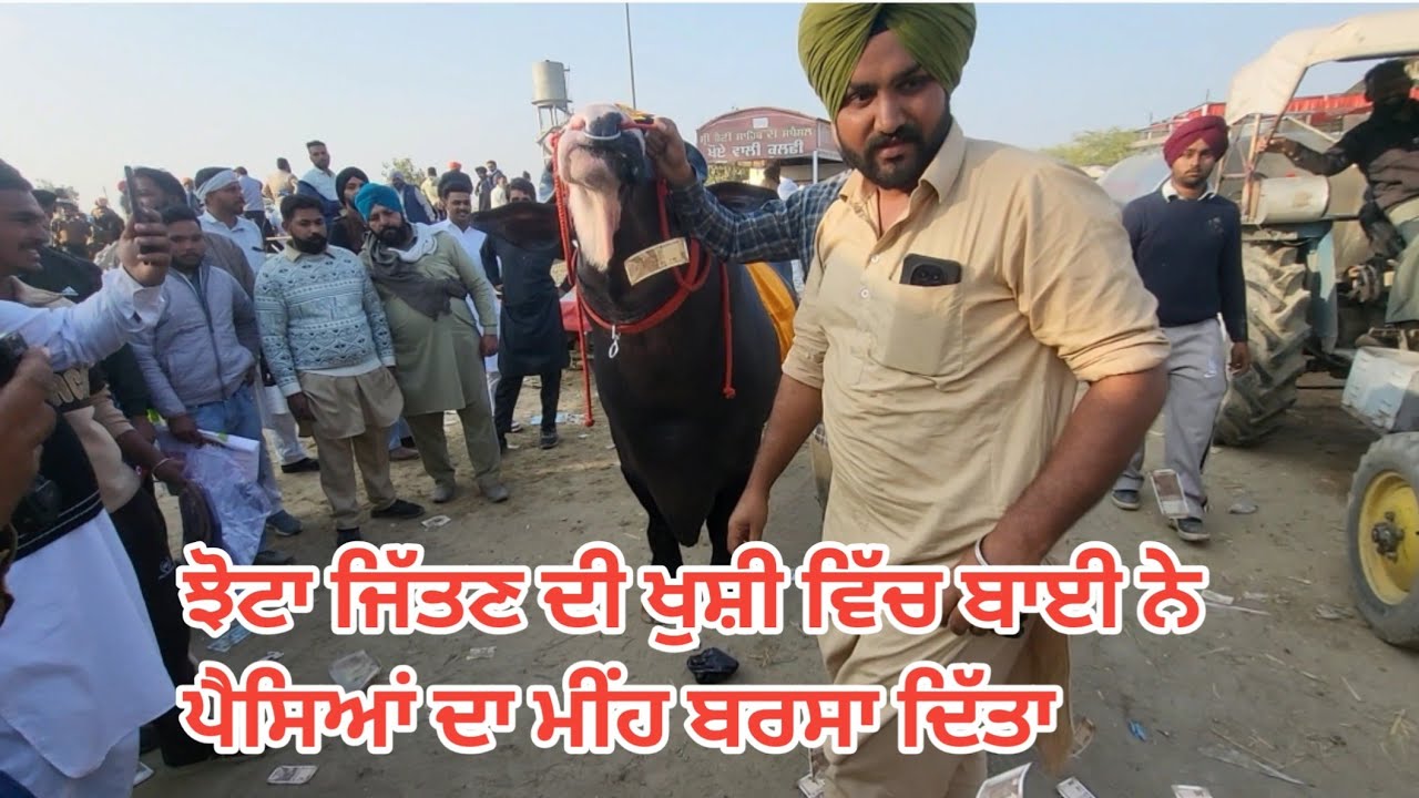 ਝੋਟਾ ਜਿੱਤਣ ਦੀ ਖੁਸ਼ੀ ਵਿੱਚ ਬਾਈ ਨੇ ਪੈਸਿਆਂ ਦਾ ਮੀਂਹ ਬਰਸਾ ਦਿੱਤਾ ##shortfeed #Buffalo #dairyfarming