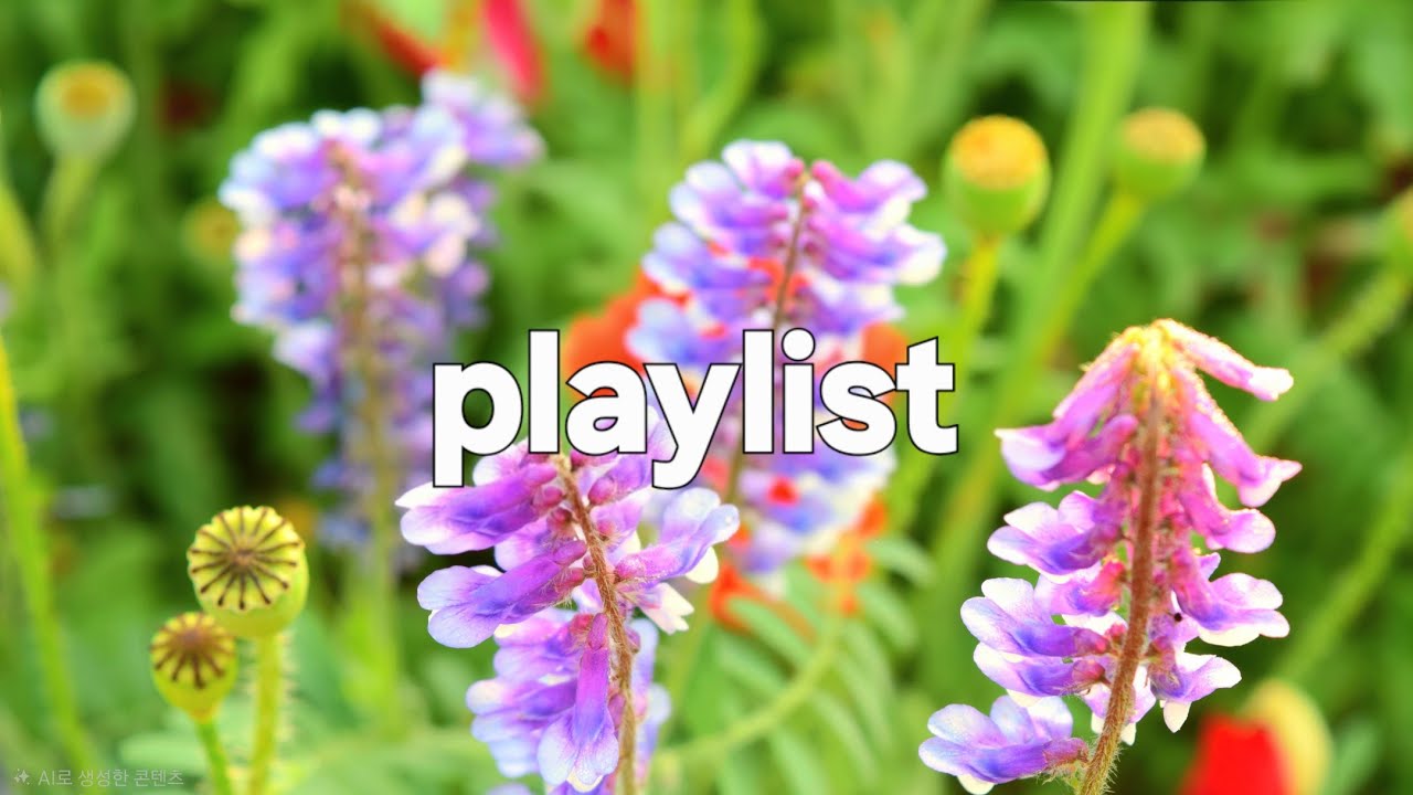 🎧 듣기만해도 기분좋아지는 틀어 놓기만 해도 건강 해지고 행복 해지는 소리 카페 음악 감성 힐링팝 참소리 #001