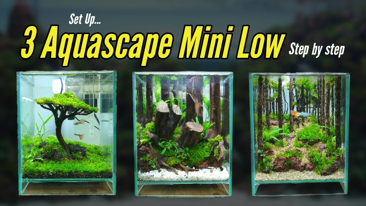BELAJAR MEMBUAT AQUASCAPE MINI | step by step | aqua one design