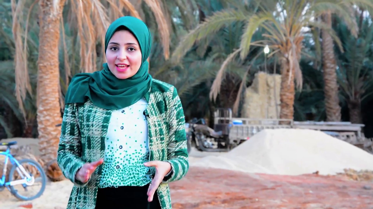 أمازيغ مصر