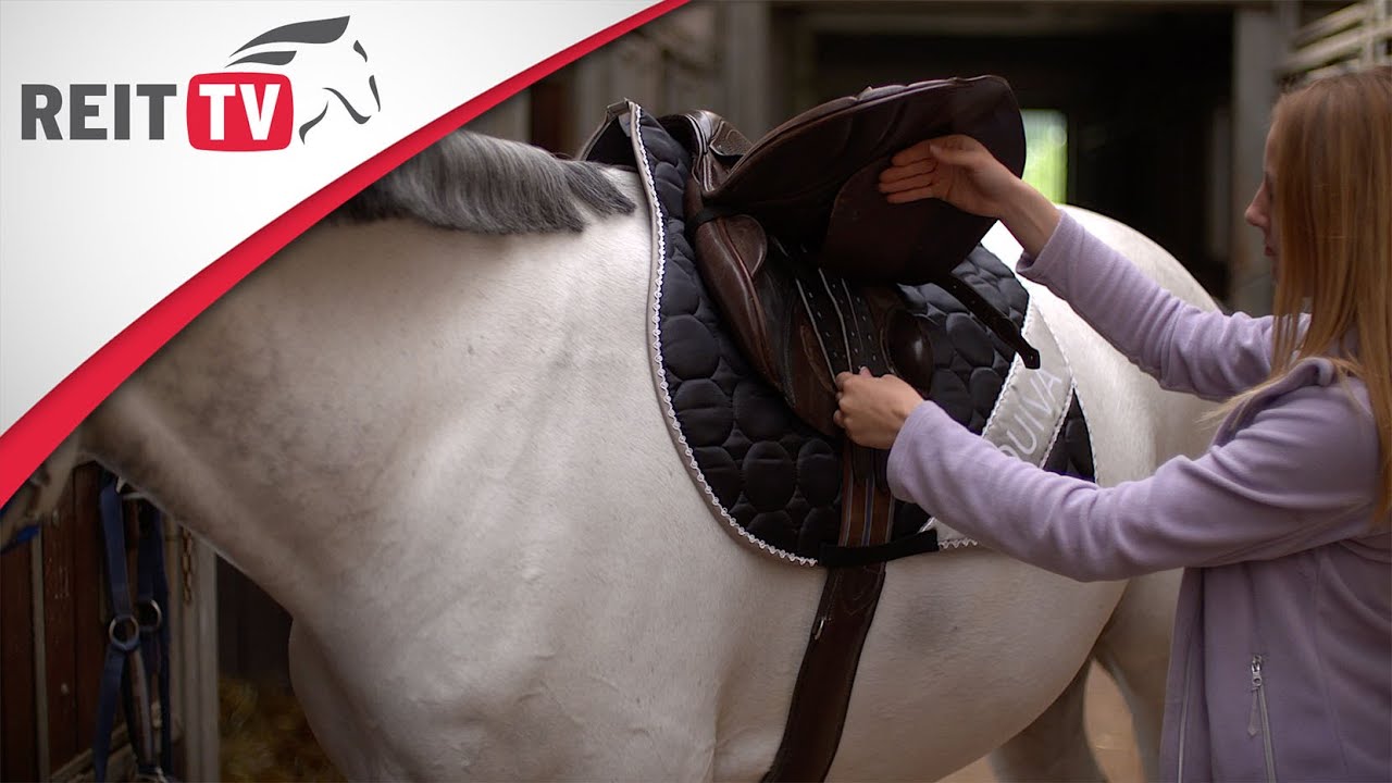 Reiten lernen: Das Pferd satteln