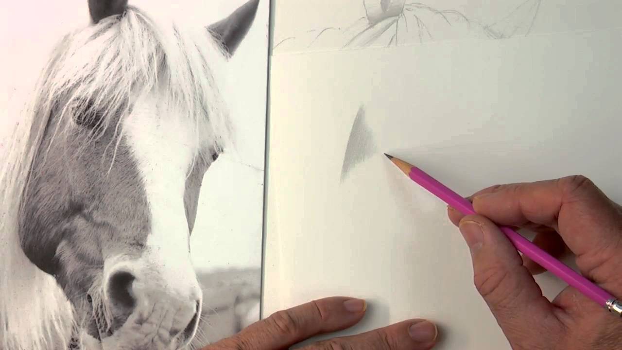 Unlock the Power of the Tapered Stroke and Draw Realistic Horse Hair!