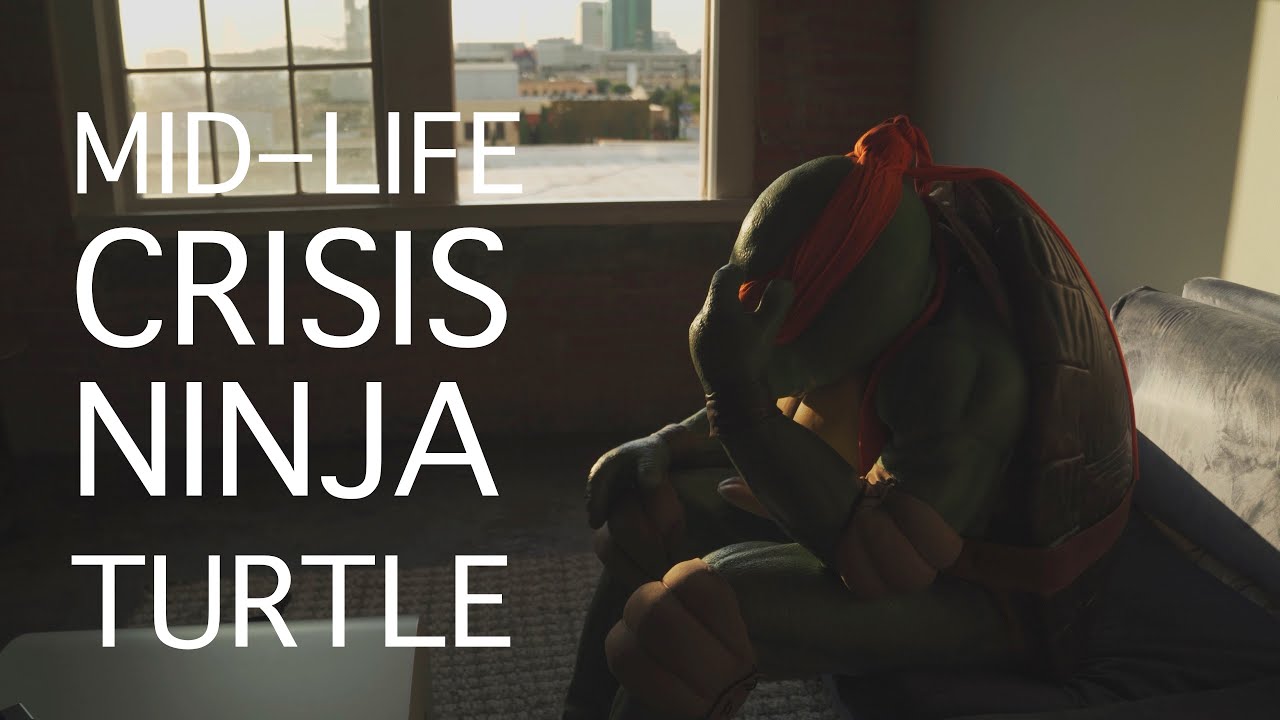 Mid-Life Crisis Ninja Turtle