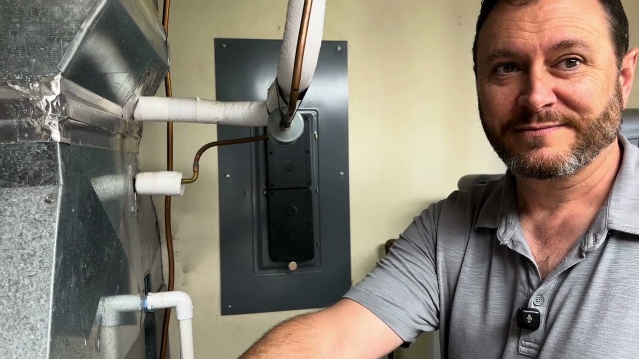 Taylor Moffitt of Halydean shares his system and bucolic lifestyle