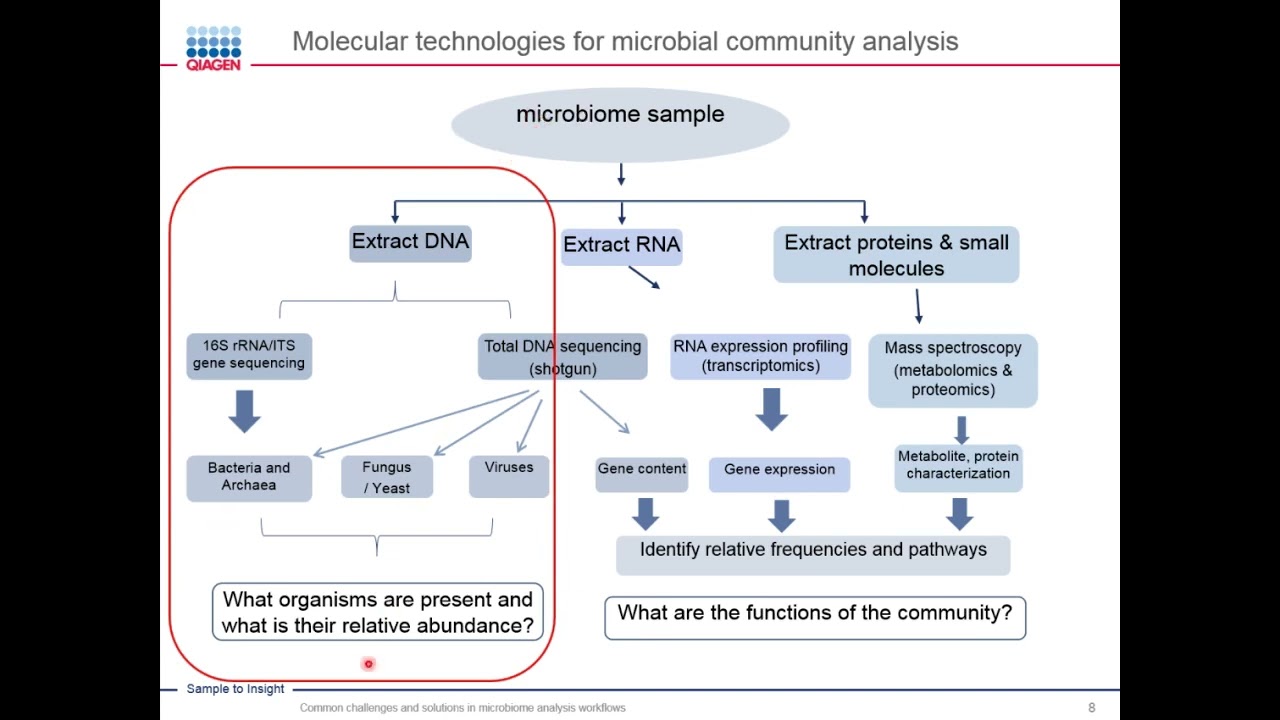 Challenges and Solutions in Microbiome Analysis Workflows