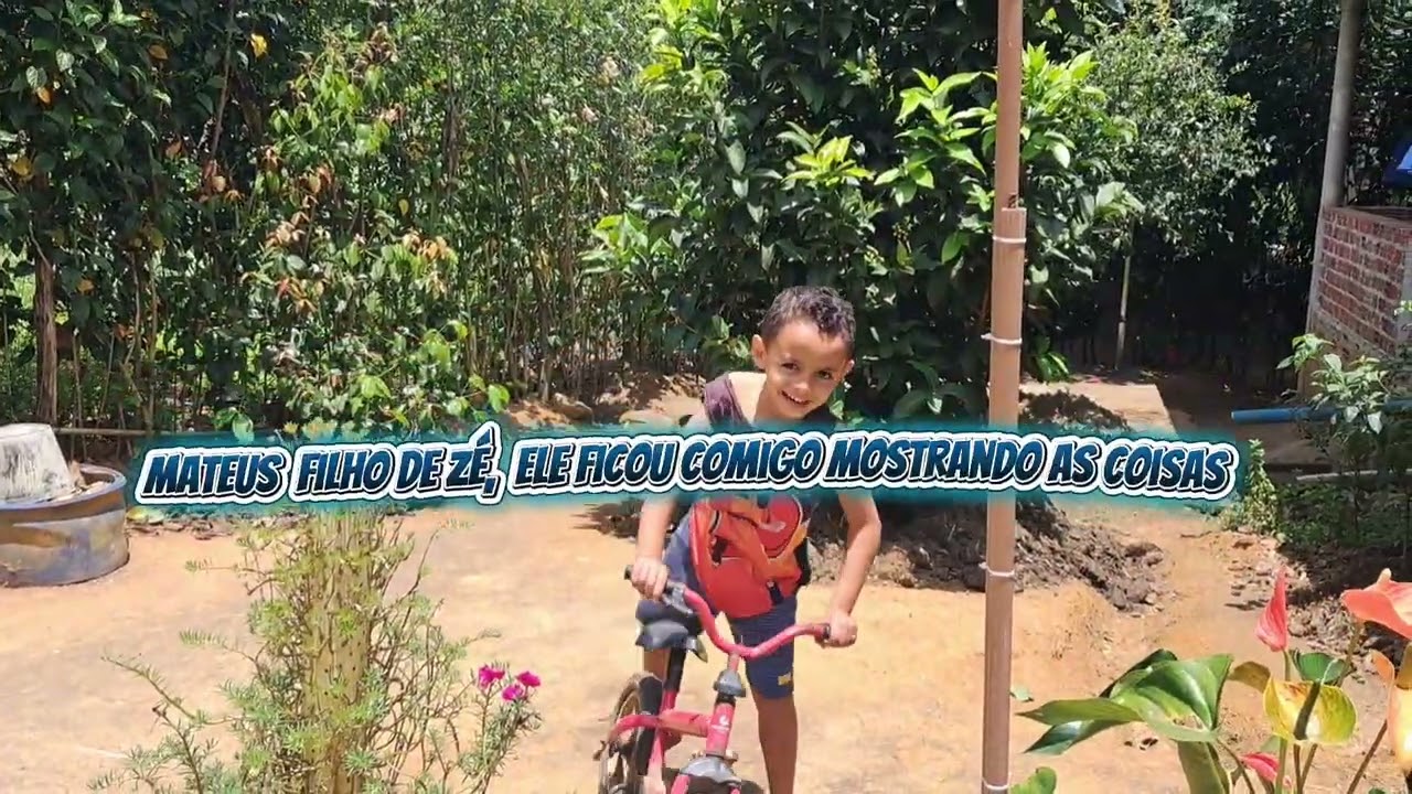 Indo buscar estrume para as plantas do sítio, #sitiodozero # contruindonossosonho