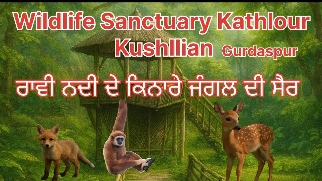 Wildlife Sanctuary Kathlour Kushllian Gurdaspur Punjab || Jungle di Sair || Adventure || Animals 