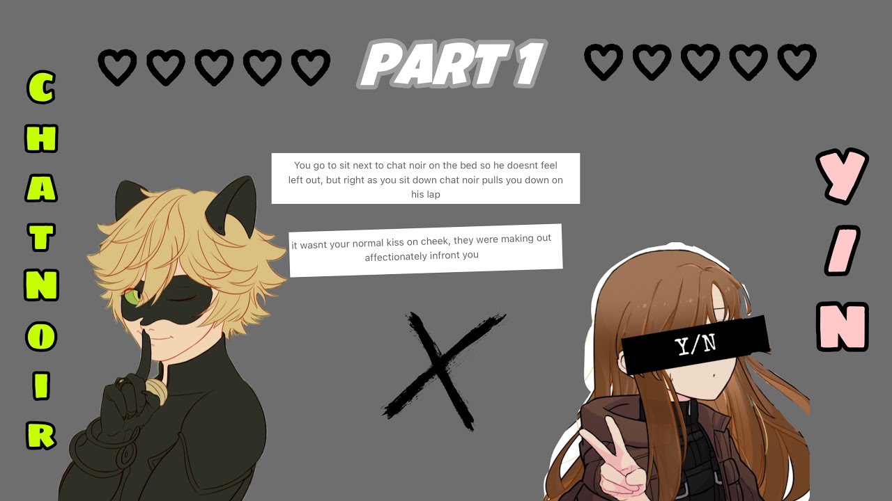 ✨Chat Noir x Y/N✨ | espilce texting stories