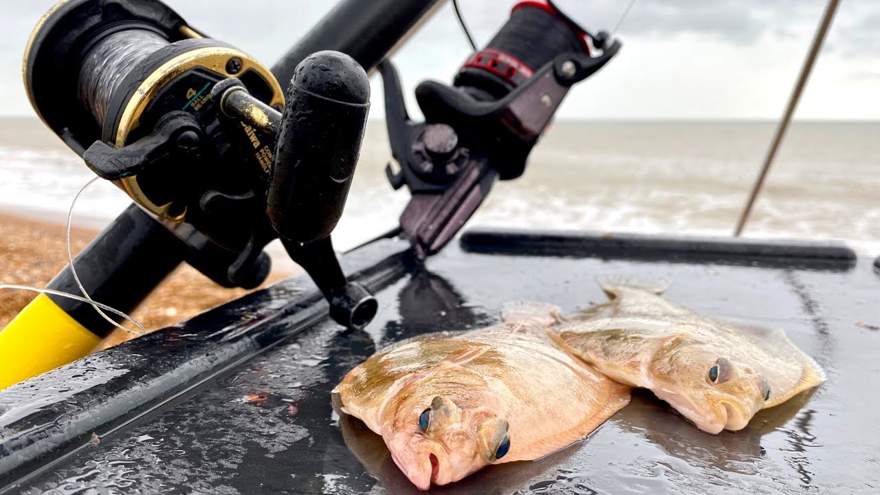 adding this strange bait caught another 5 flatfish...