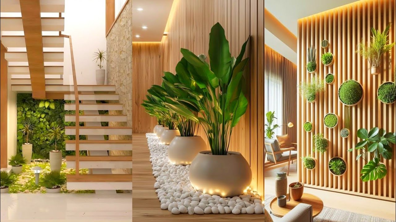 Living Room Indoor Plants Decor Ideas | Courtyard Houseplants Money Plants Decoration  Indoor Plants