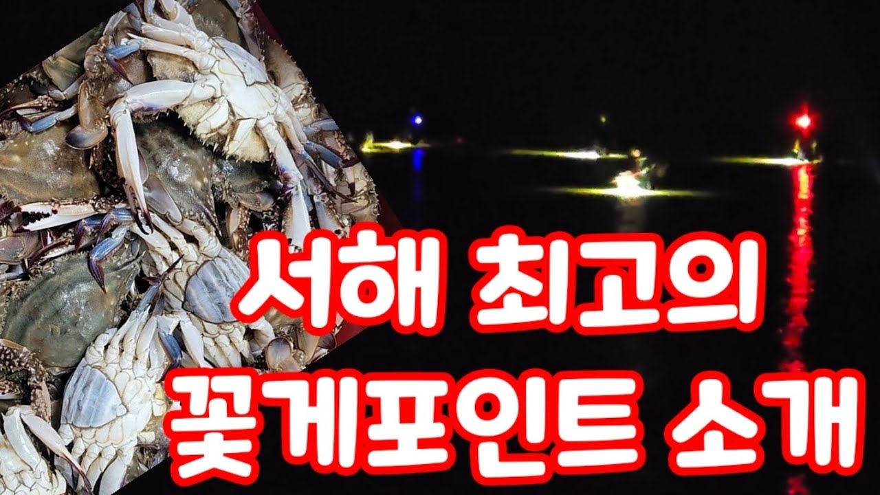몰래 조용히 가서 꽃게 만통하는곳, 소문나기전에 얼릉가세요 #꽃게해루질
