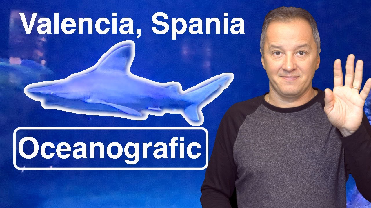 🌊🐠 Oceanografic Valencia – Cel Mai Mare Acvariu din Europa! 🦈🐬