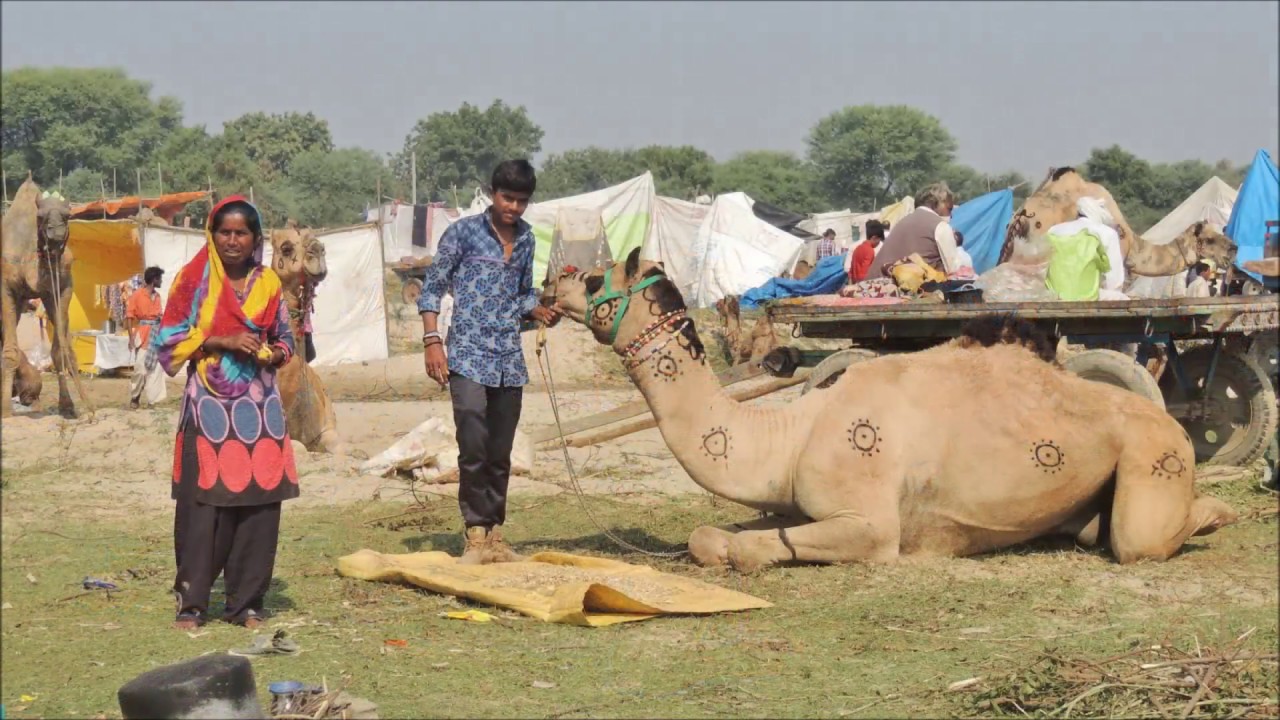 VAUTHA FAIR  Gujarat Inde Novembre 2018