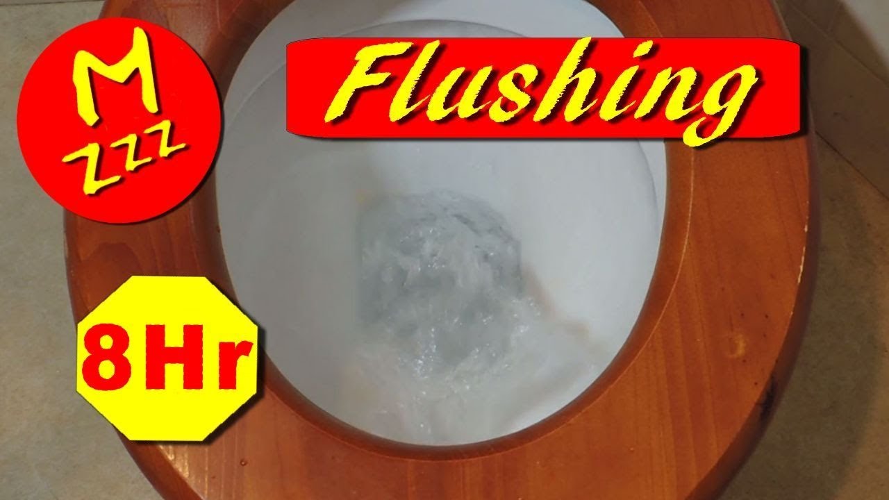 Toilet Flushing Sound Effect 8 Hours of Flushing and Topping Up a Toilet - Royalty Free