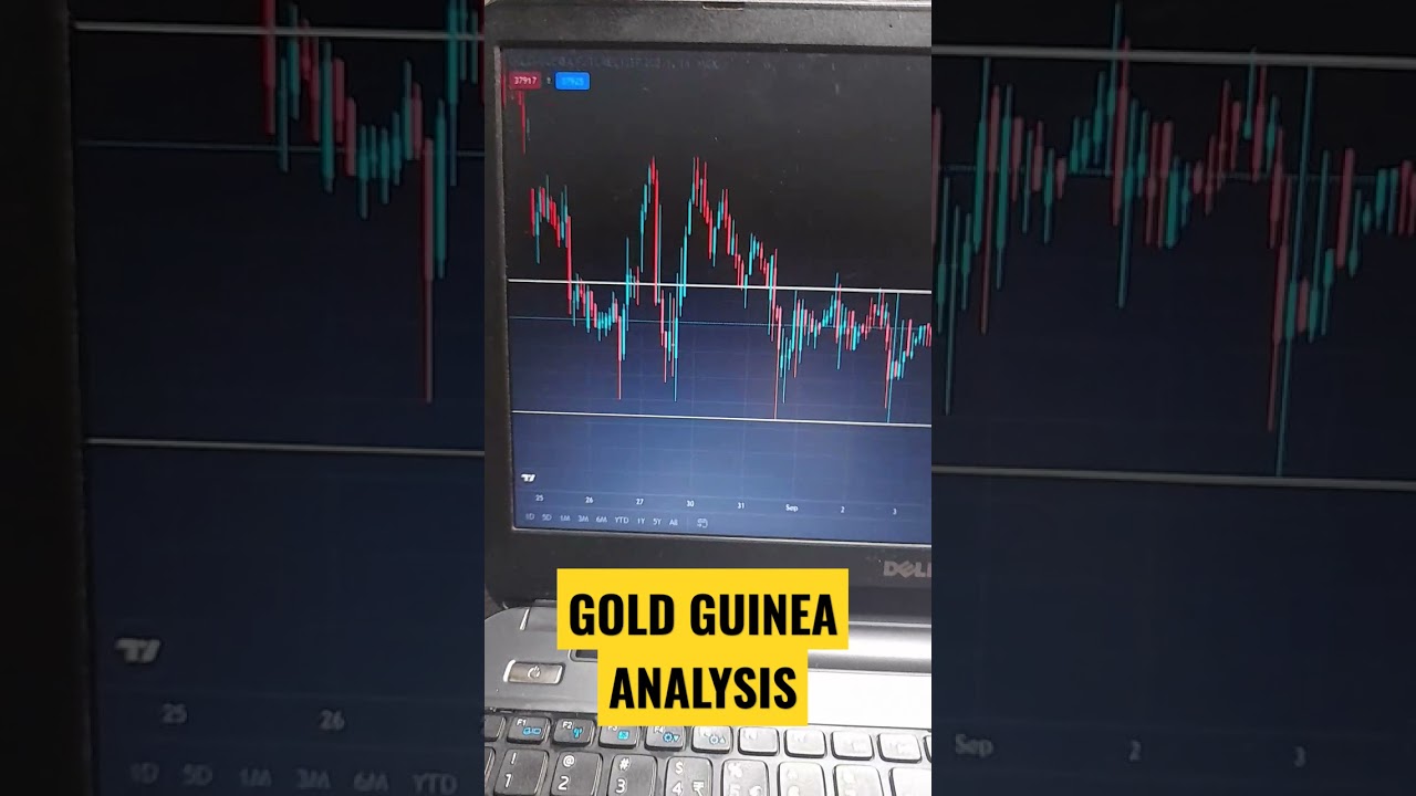 Gold Guinea Analysis