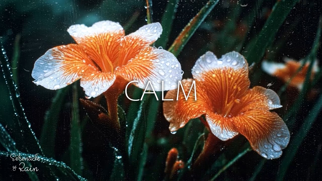 Relaxing Piano at Night 🌌🌲🎹 with Forest Ambience for Deep Sleep, Focus and Anxiety Relief