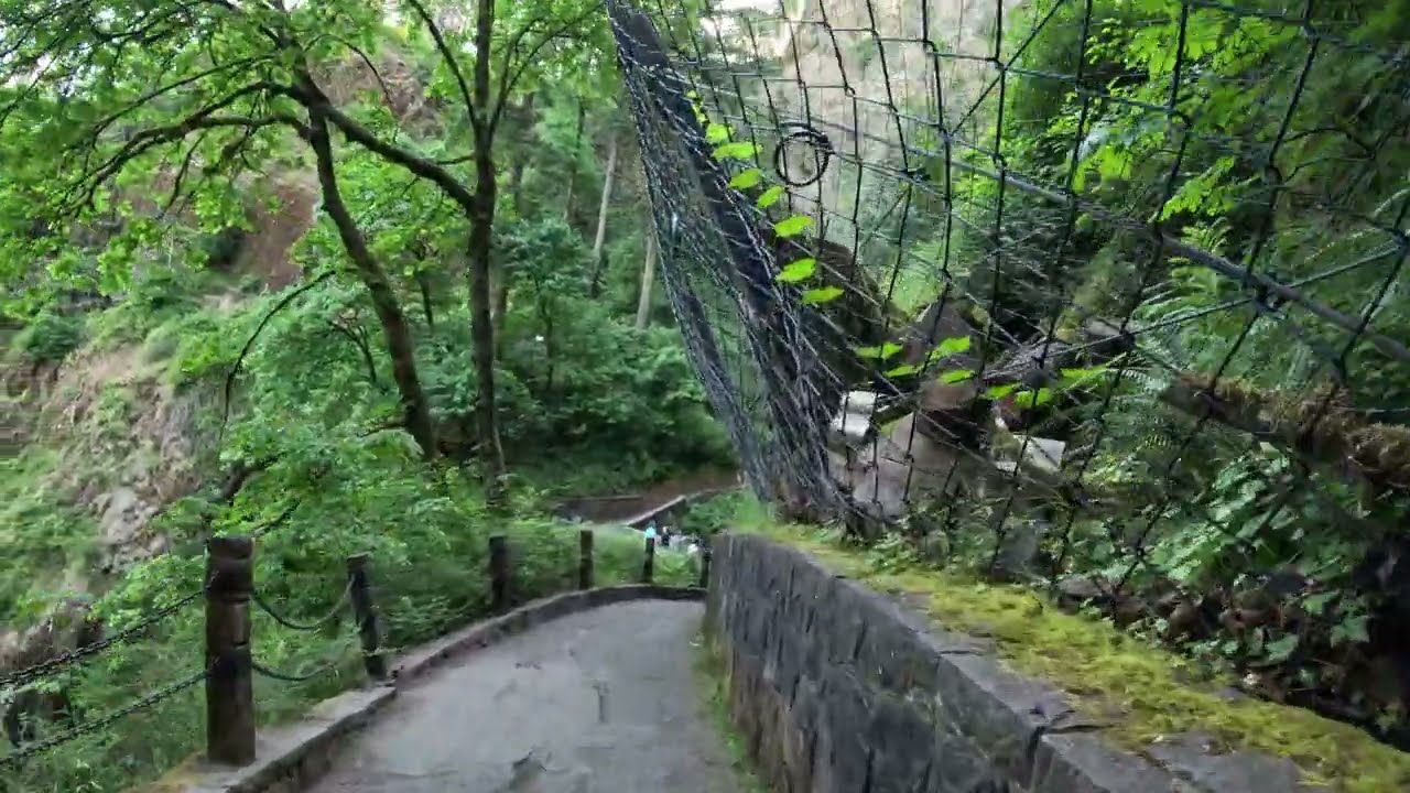 Multnomah Falls (Part 2)