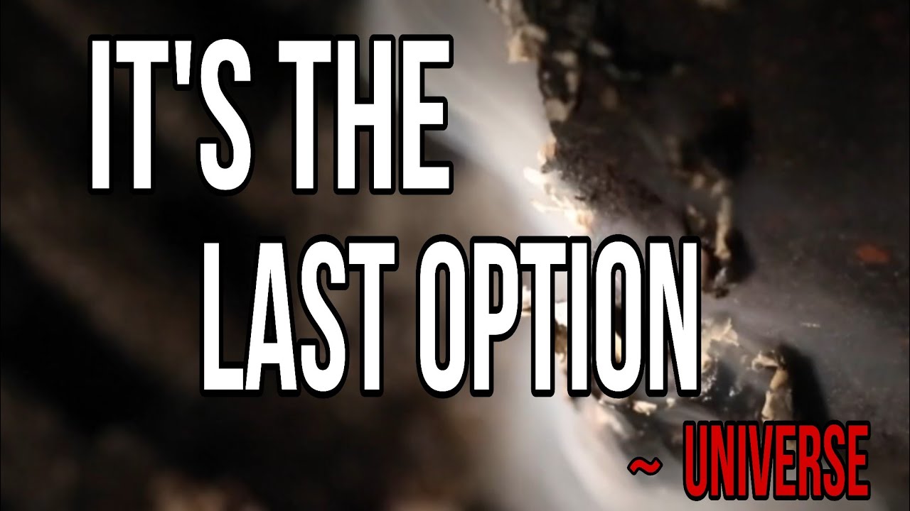 You can't fail this // Message From Universe 🌈🦋❤️