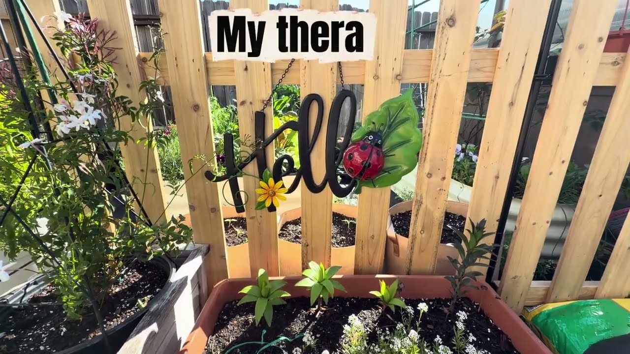 Spring has arrived in the garden