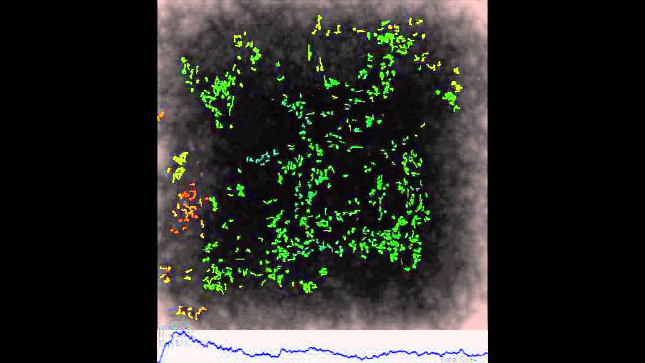 Johnson's Picos (Official Titled HD)