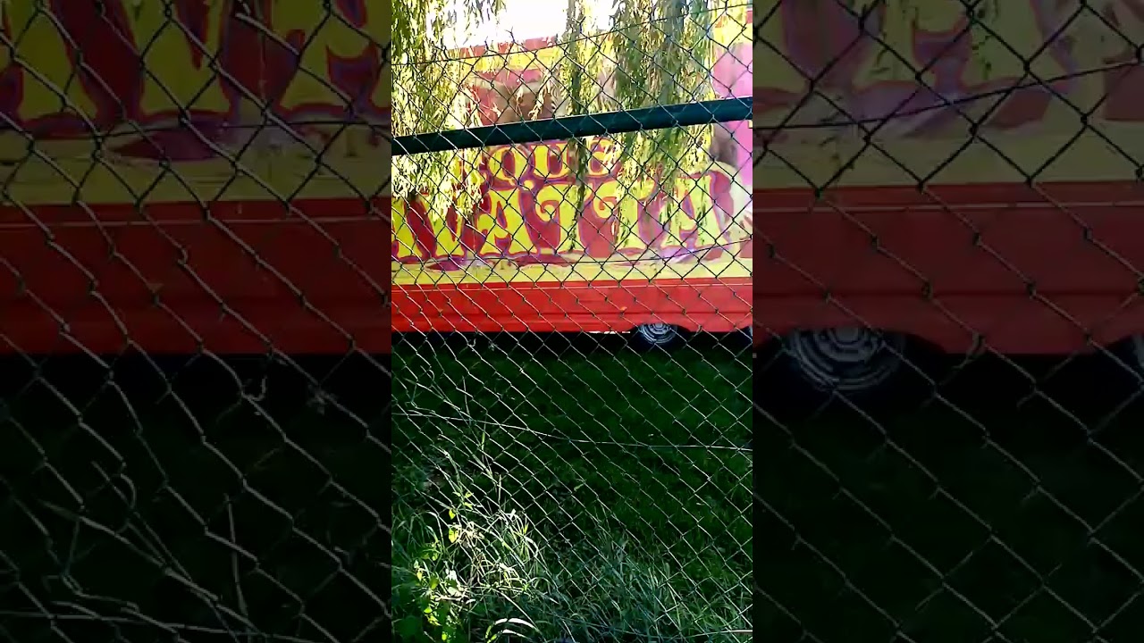 cirque Antonio Zavatta à Saint Arnoult du 16 au 20 Août 2023