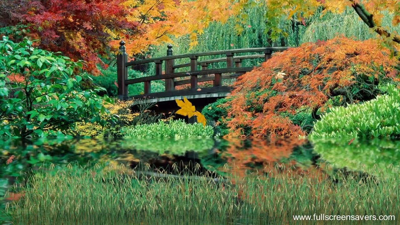 Autumn Scenery - Autumn Screensaver