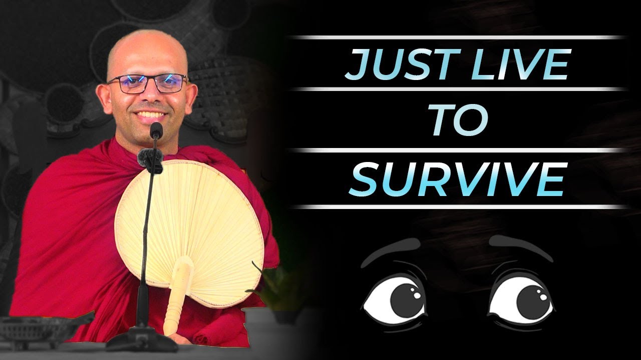 Just live to survive