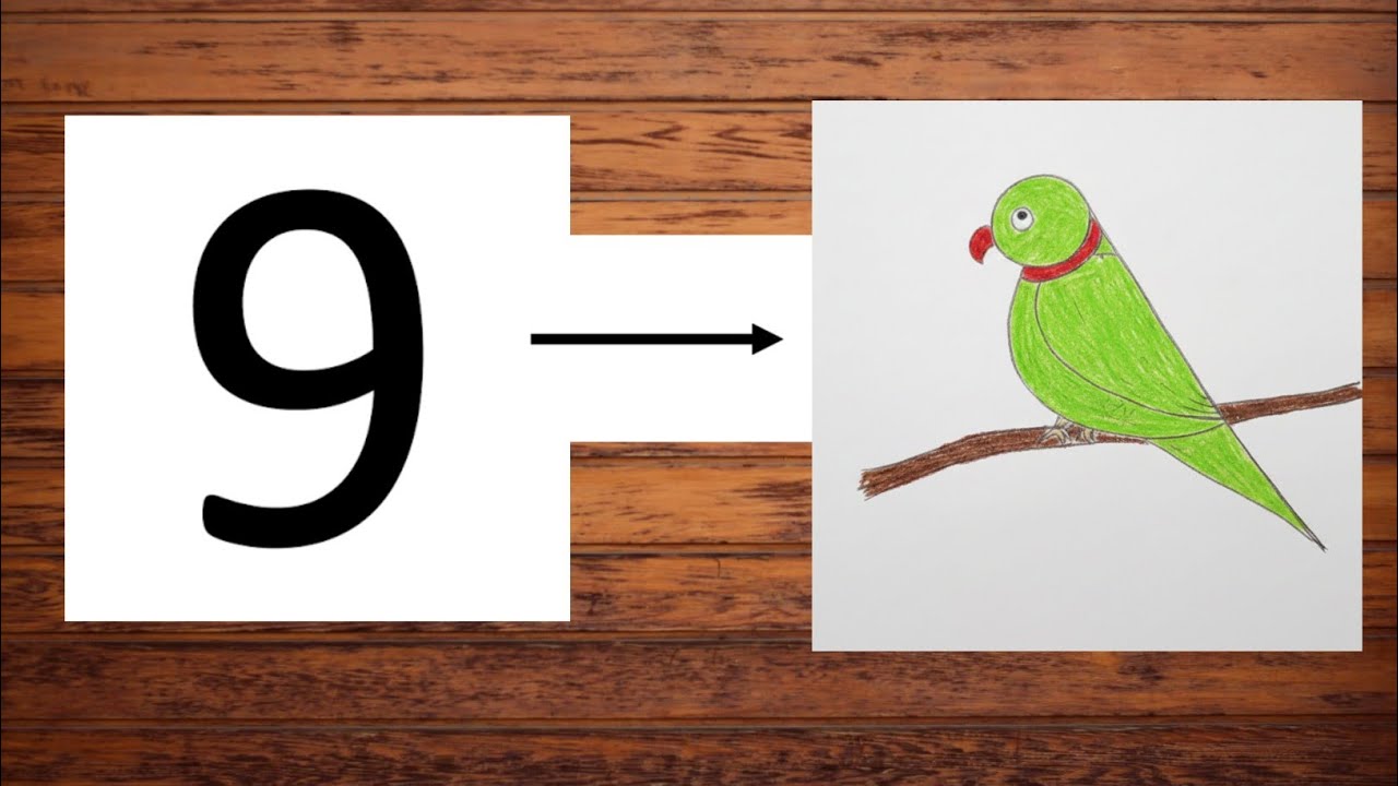 How To Draw A Parrot With Number 9 Very Easy Step By Step @chandrimaarts