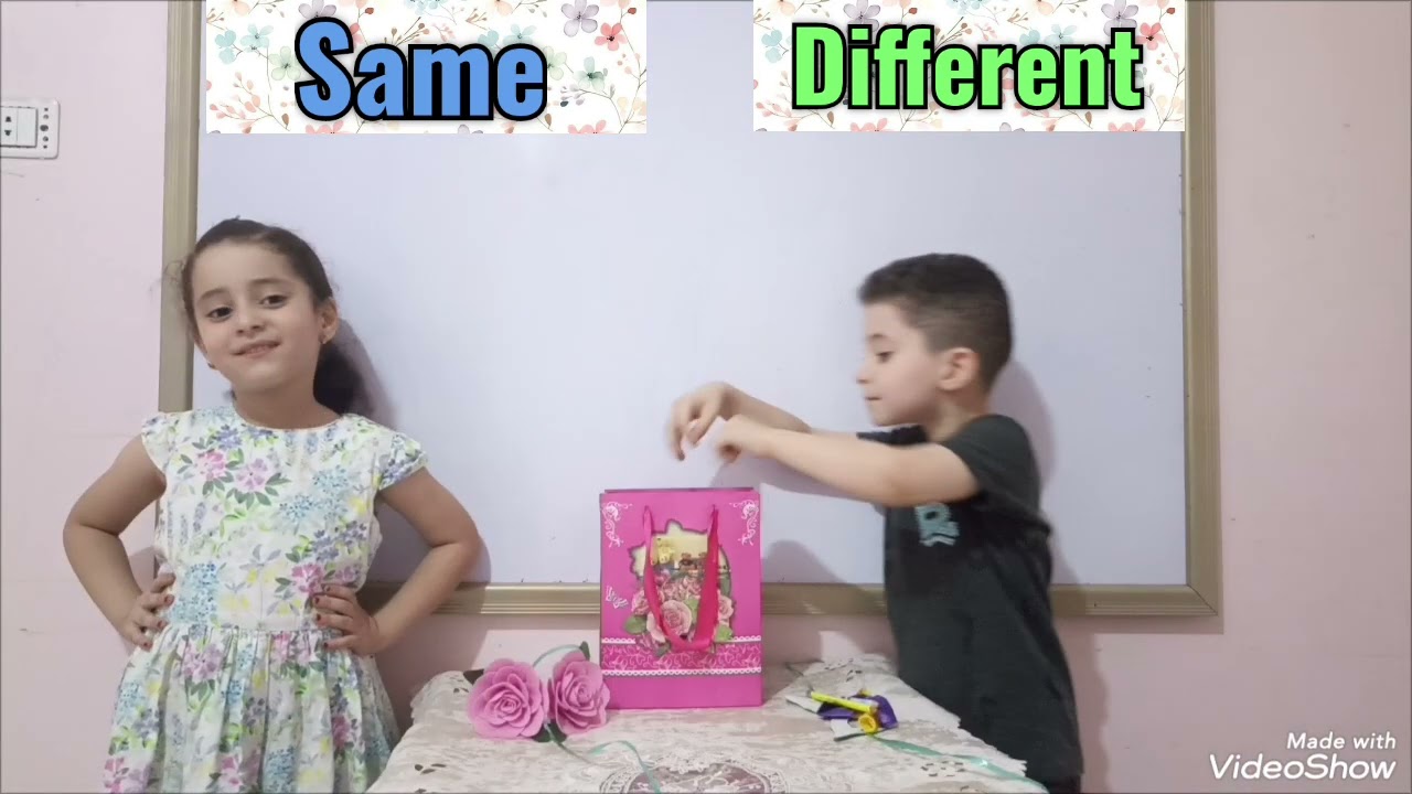 هنتعلم Same  and Different  مع أصدقائنا الحلوين تالية وياسين 🥰♥️