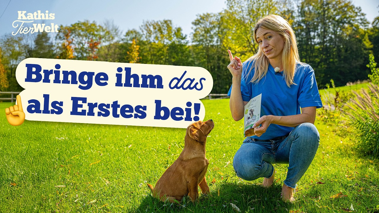 So erziehst du deinen Welpen in den ersten Wochen!