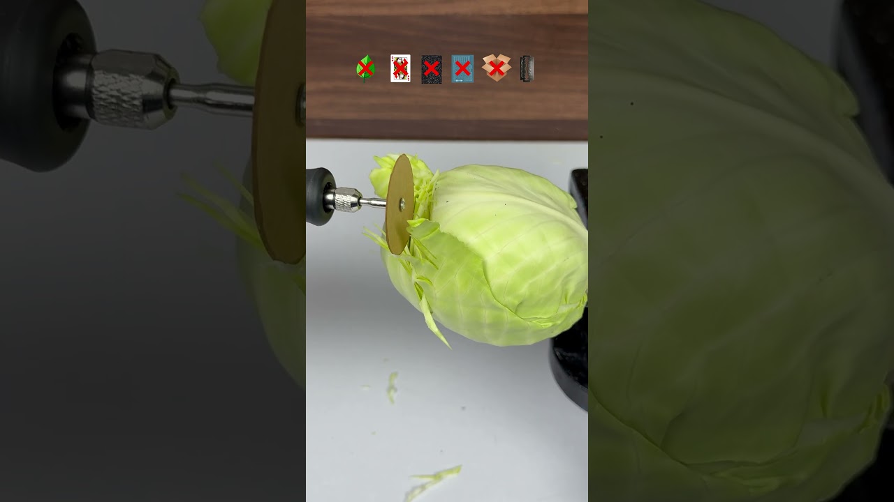 Which Material Can Cut a Cabbage? #experiment #asmr #satisfying #cabbage