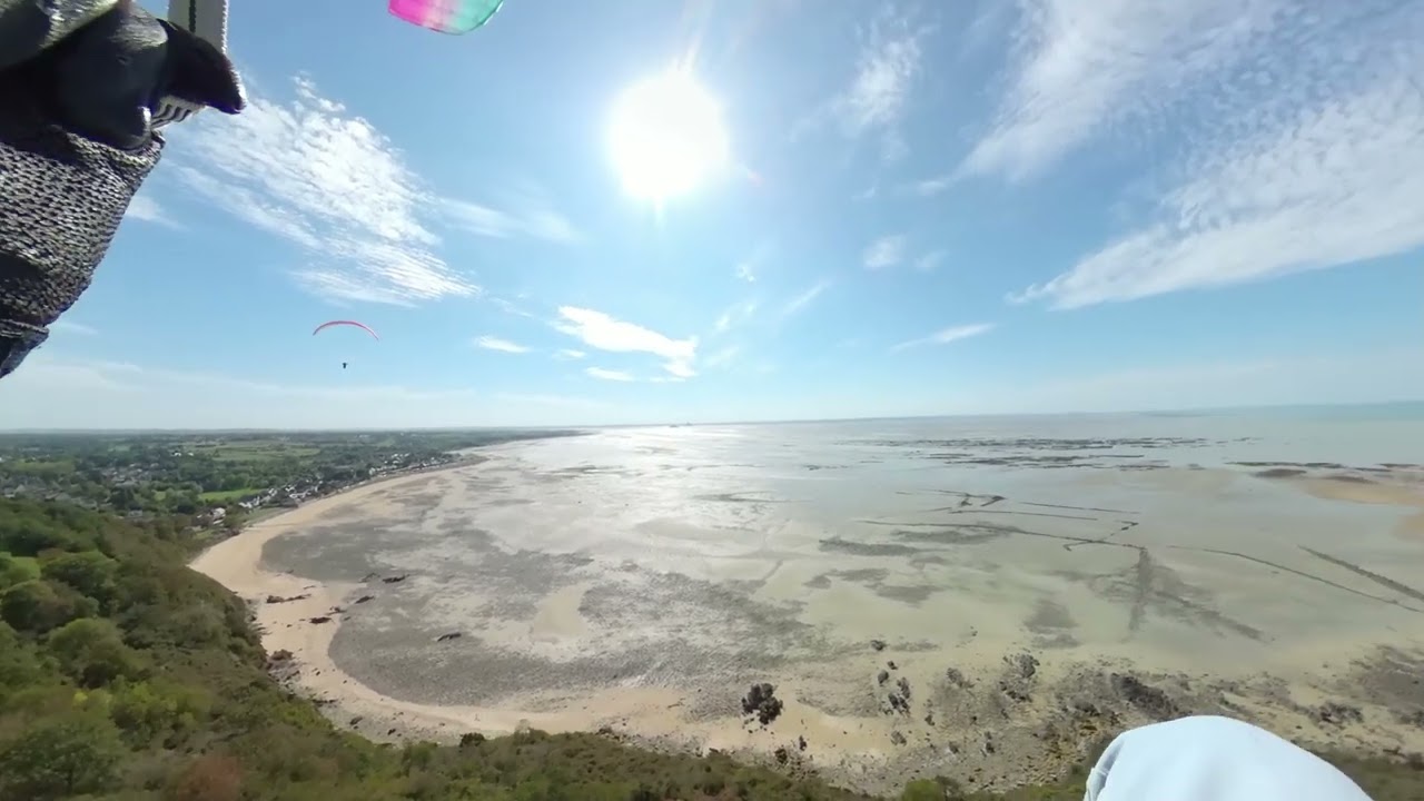 Le goéland d'ARMOR (PAL)