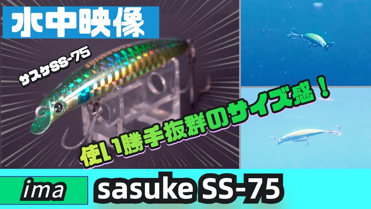 【水中映像】やっぱり釣れる！サスケSS-75！この一口サイズ感がかなりGOOD！【シーバスルアー】【アイマ】