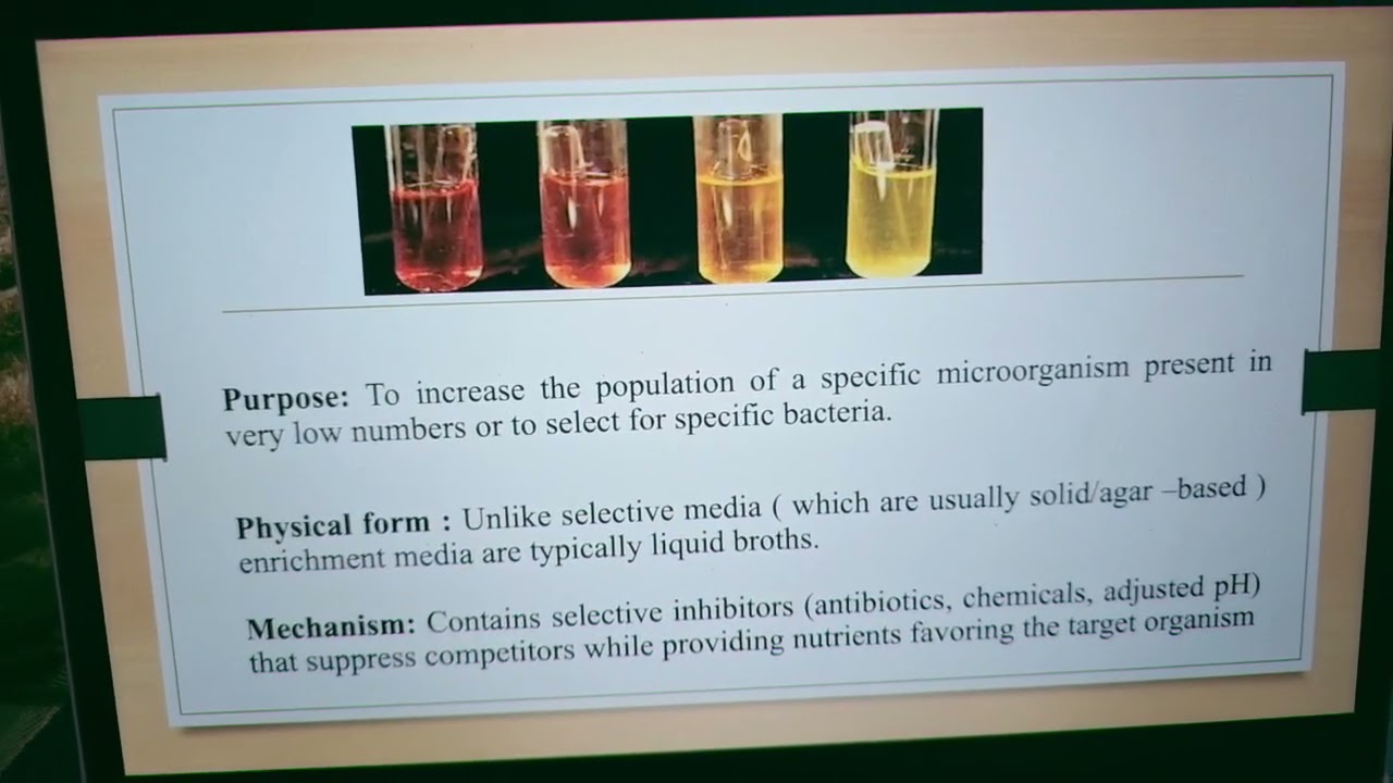 Enrichment culture #microbiology #culture #media #exam #youtube #viralvideo #shorts #mbbs #bds #pg 