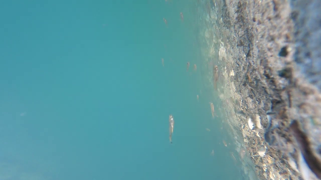 What Hides Beneath the Mysterious Alpine River ? 4K