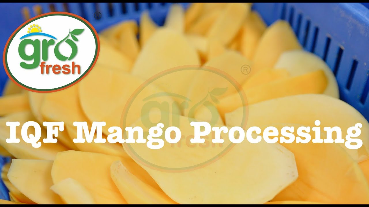 IQF Mango processing|| Mango Dice|| Frozen Mango