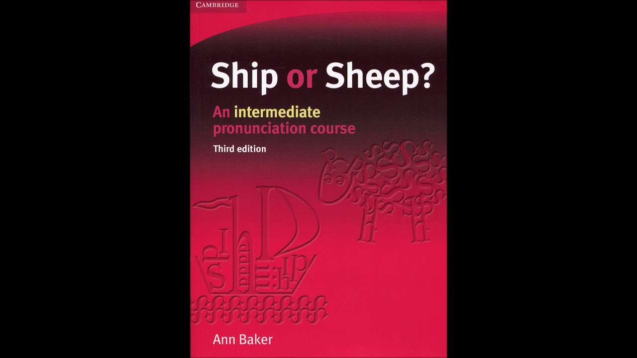 A horrible accident - Ship or Sheep Unit 41