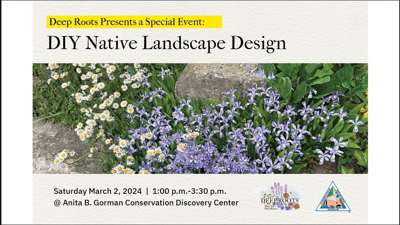 DIY Native Landscape Design