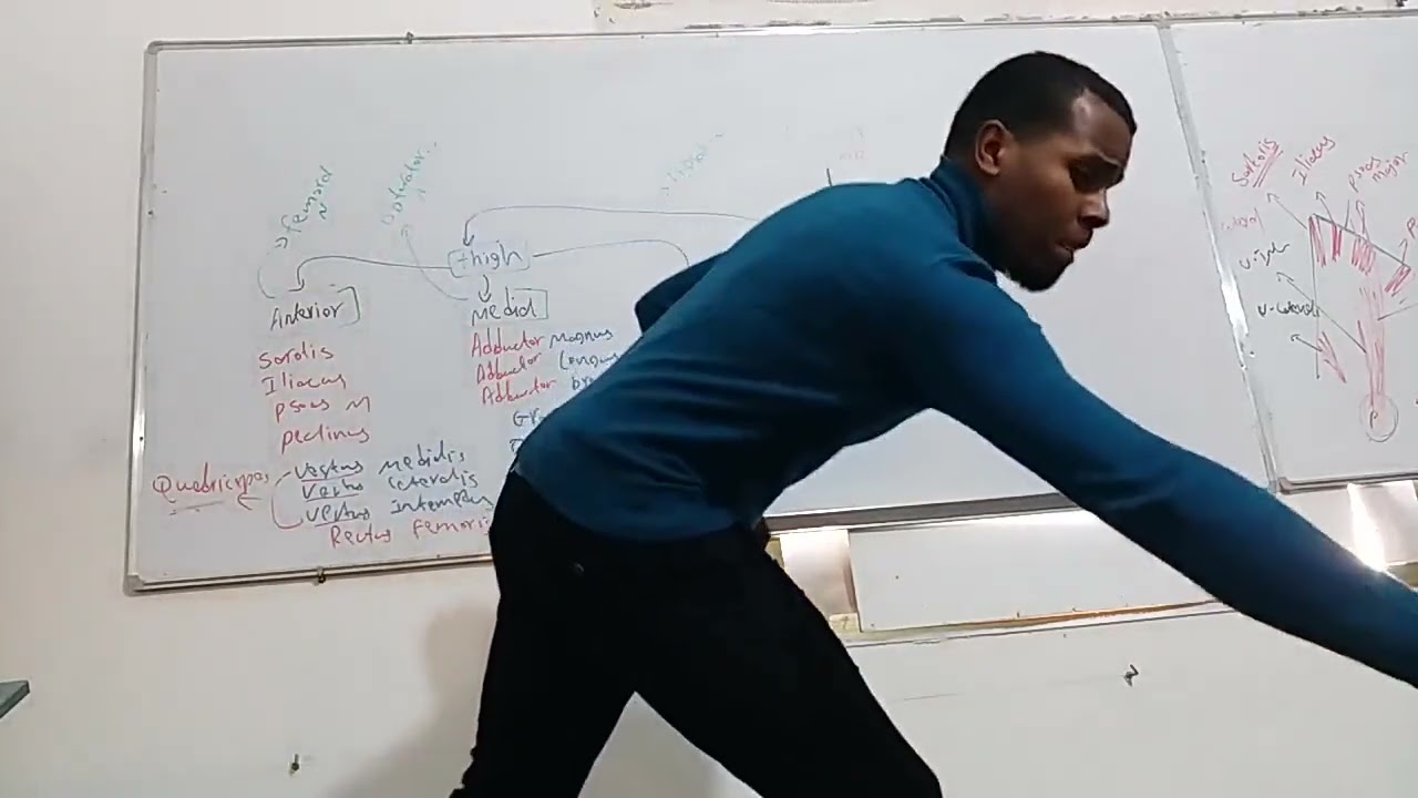 د.عبدالمنعم المريمي (lower limb 🦵) محاضرة (1)