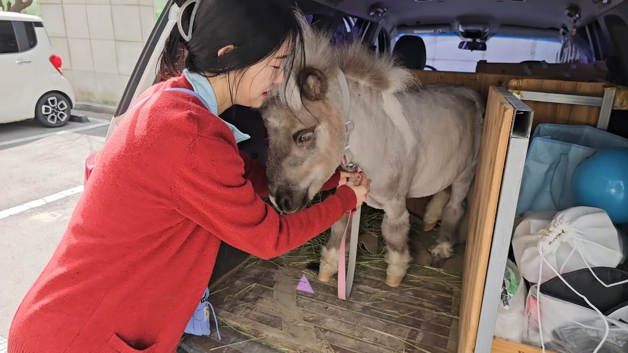 ※특종감) 이게 말이 되나요!? 심장폭격 조심하세요..보시면 압니다