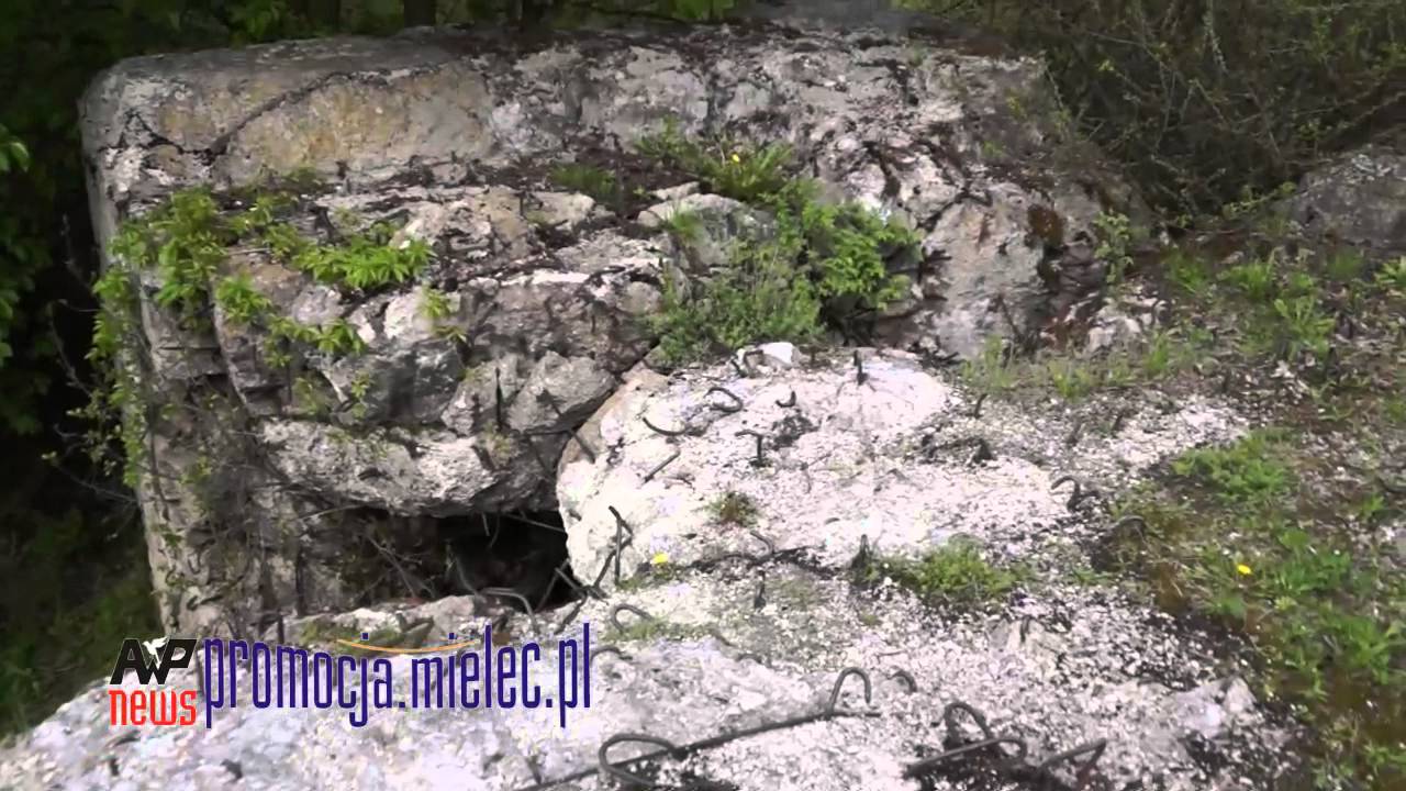 Bunkier poniemiecki Ocieka k. Blizny schron nr 2